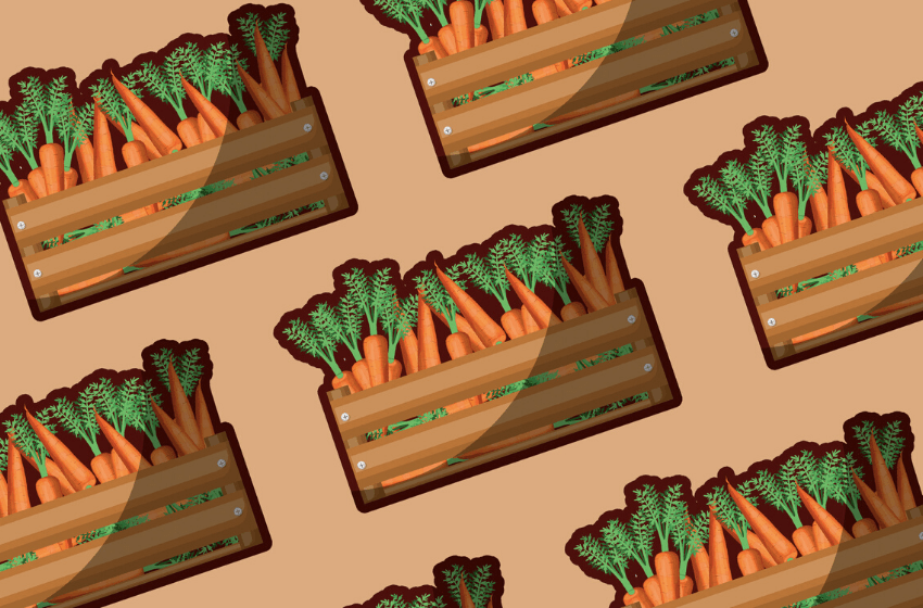 Agropellets made of... carrots