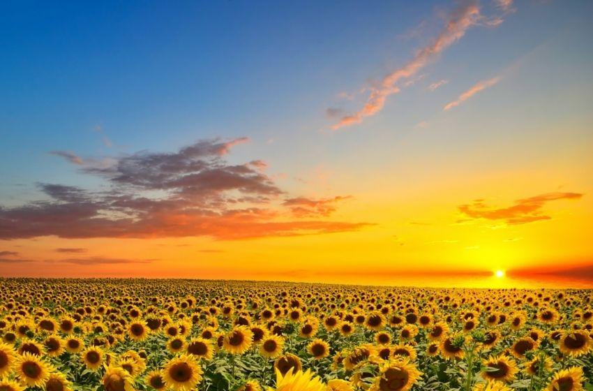 How to privatize state-owned companies in Ukraine?